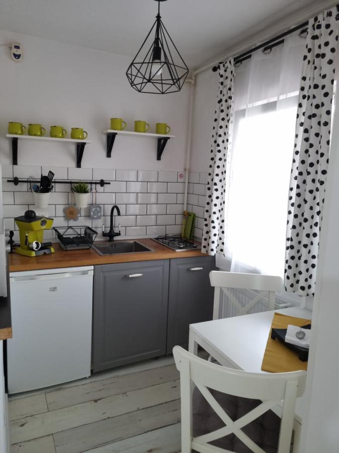Dream Studio 2 Petroşani Dış mekan fotoğraf