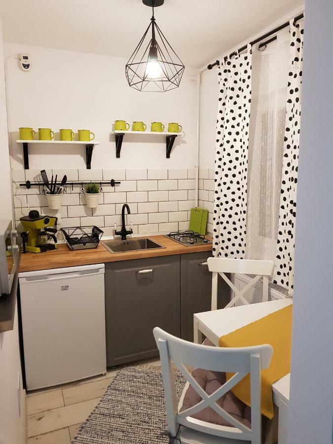 Dream Studio 2 Petroşani Dış mekan fotoğraf